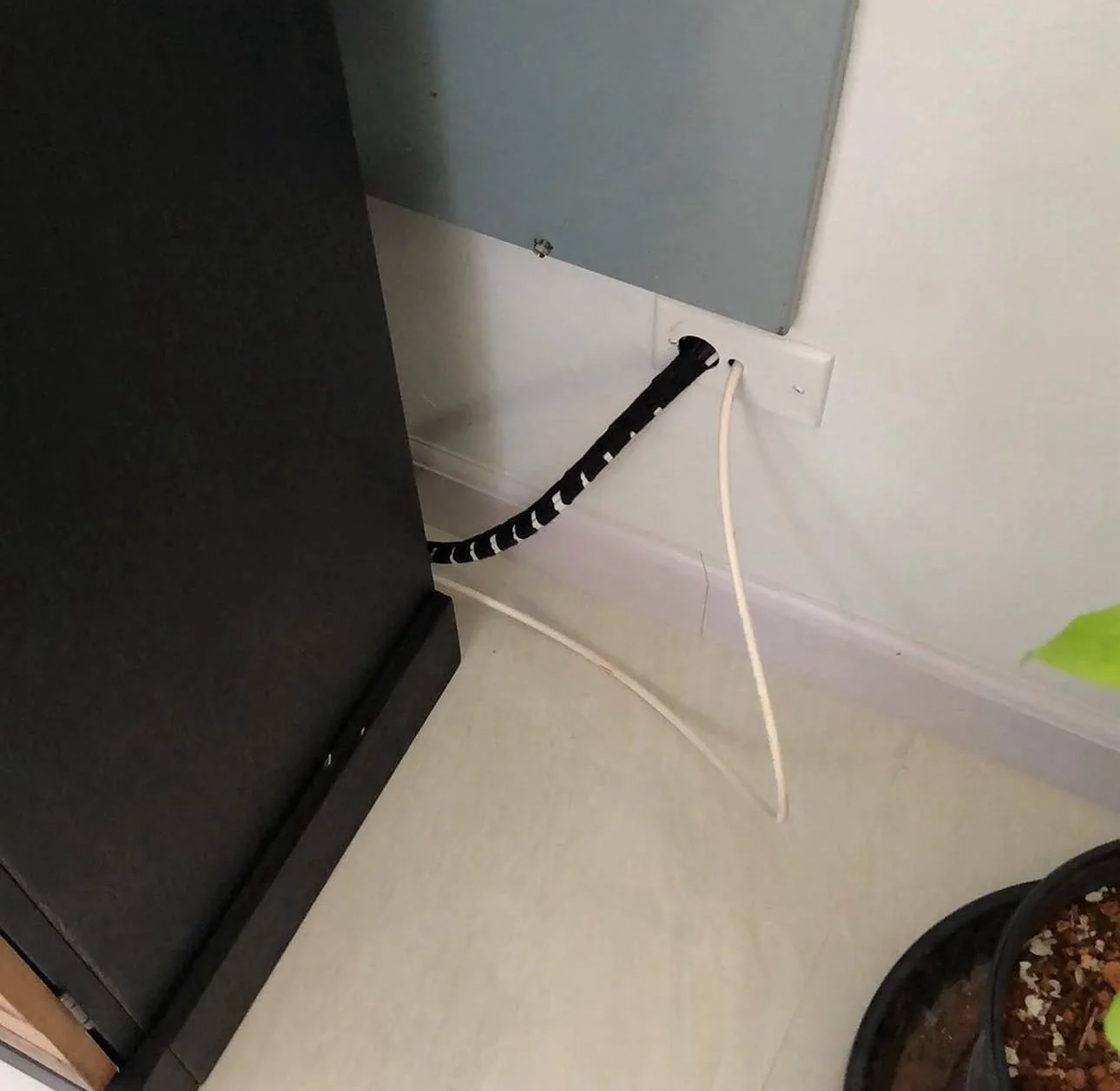 Bundled cables passing through a white wall plate beside indoor monitoring equipment.