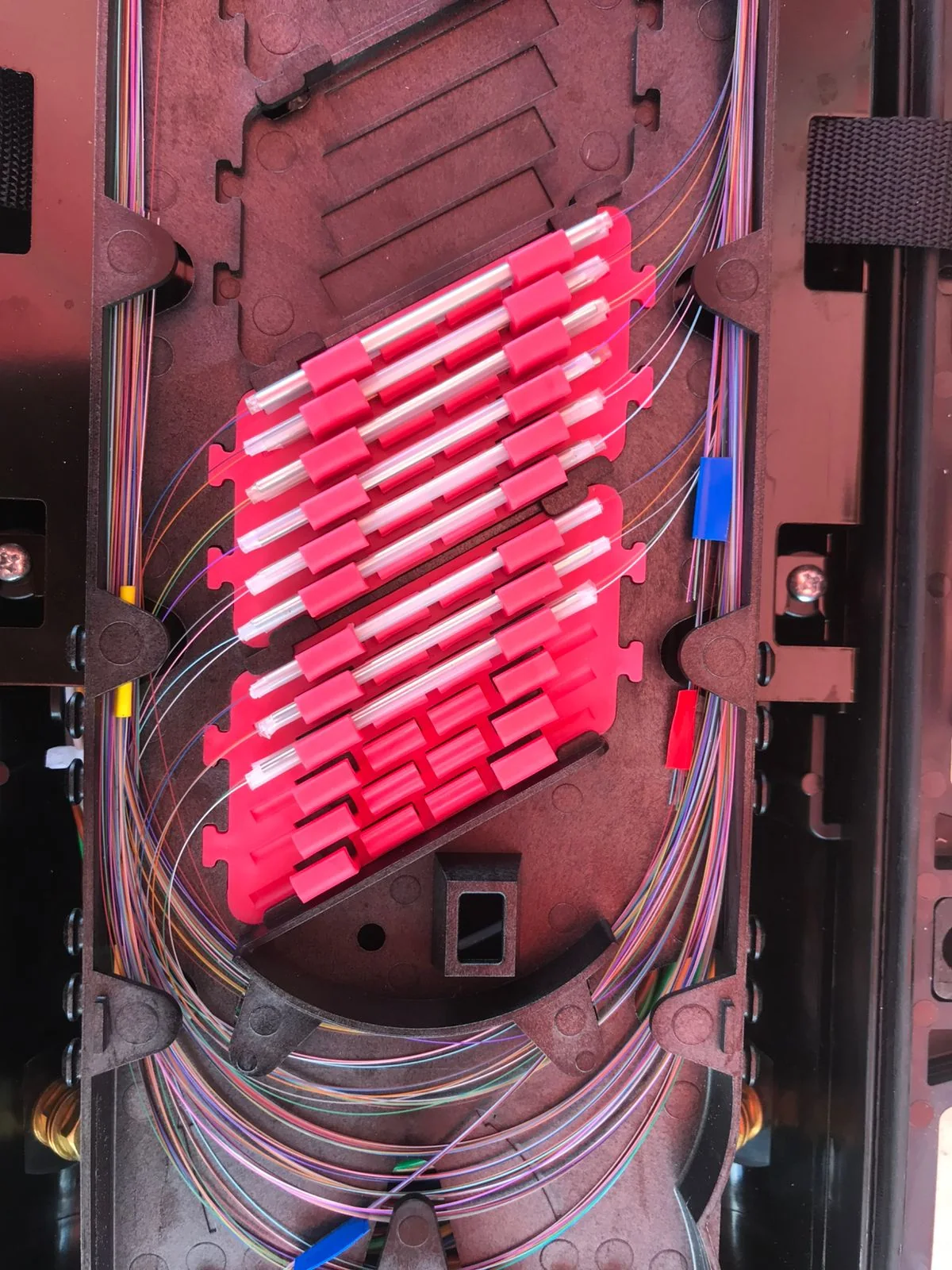 Close-up of red protective splice-sleeve holders inside a fiber tray.