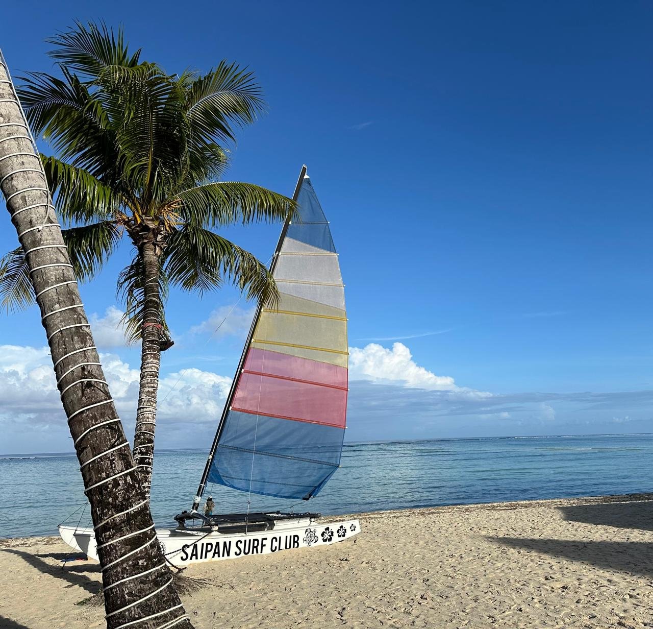 Palm trees and a sailboat with a colorful sail on a sandy Pacific beach beside calm blue water.